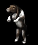 bassethoundbegging_lb.gif