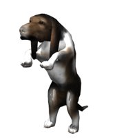 bassethoundbegging_hr.jpg