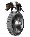 bassetdog_balancing1_mc.gif
