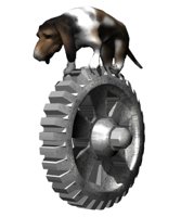 bassetdog_balancing1_hr.jpg