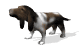 basset_howl_sw.gif