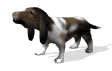 basset_howl_mw.gif