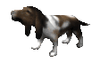 basset_howl_mc.gif