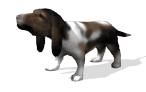 basset_howl_lw.gif