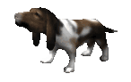 basset_howl_lc.gif