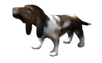 basset_howl_hr.jpg