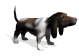 basset_excited_sw.gif