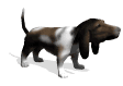 basset_excited_mw.gif