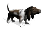 basset_excited_lw.gif