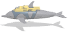worker_dolphin_mw.gif