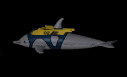 worker_dolphin_mb.gif
