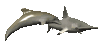 dolphindefender_sc.gif