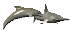 dolphindefender_mc.gif