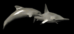 dolphindefender_mb.gif