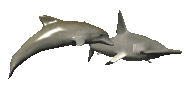 dolphindefender_lc.gif