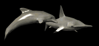 dolphindefender_lb.gif