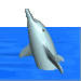dolphin_tread_mc.gif