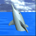 dolphin_tread_mblu.gif