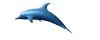 dolphin_swim_mw.gif