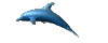 dolphin_swim_mc.gif