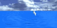 dolphin_jump_mw.gif