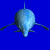 dolphin_face2_mblu.gif