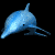 dolphin_face1_mb.gif