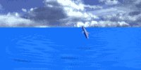 dolphin2_jmp_mw.gif