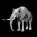 elephant_ear_twitch_sb.gif