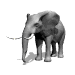 elephant1_sw.gif