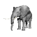 elephant1_sc.gif