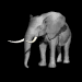elephant1_sb.gif