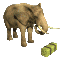 eat_hay_sc.gif