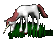 unicorn_in_grass_eating_tc.gif