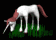 unicorn_in_grass_eating_tb.gif