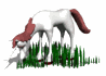unicorn_in_grass_eating_sw.gif