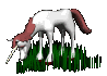 unicorn_in_grass_eating_sc.gif