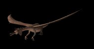 flying_dragon_lb.gif