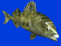 trout_frnt_swim_mblu.gif