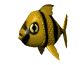 tropicalfish_wading_sw.gif