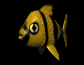 tropicalfish_wading_sb.gif