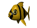 tropicalfish_wading_mw.gif