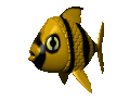 tropicalfish_wading_mc.gif