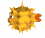 puff_swimming_tw.gif