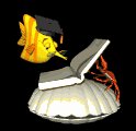 prof_finny_reading_mb.gif