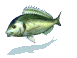 lone_carp_mw.gif