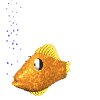 goldfish_rest_mw.gif