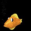 goldfish_rest_mb.gif