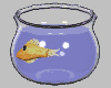 goldfish_bowl_swim_mgry.gif