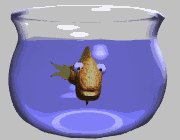 goldfish_bowl_stare_mgry.gif